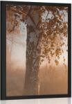 Dovido Poszter őszi erdő ködben - 60x90 silver