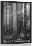 Dovido Poszter az erdő titka feketén-fehéren - 60x90 silver