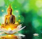 Dovido Tapéta arany Buddha lótusz virágon - 294x270