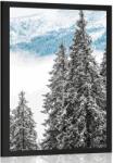 Dovido Poszter havas fenyőfák - 40x60 no frame