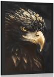 Dovido Poszter fekete-arany sas. - 60x90 white