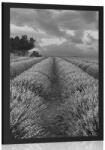 Dovido Poszter levandula mező fekete fehérben - 30x45 white