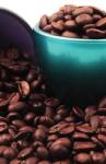 Dovido Öntapadó fotótapéta - 147x270 - dovido - 30 165 Ft