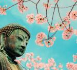 Dovido Öntapadó tapéta Buddha szobor a cseresznyefa alatt - 294x270