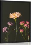 Dovido Poszter elegáns színes szegfű virágok - 40x60 white