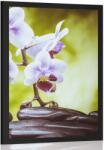 Dovido Poszter zen kövek és orchidea - 30x45 no frame