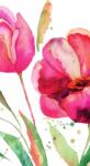 Dovido Öntapadó tapéta csodás tulipán érdekes kivitelben - 147x270