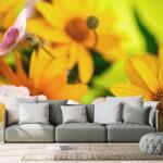 Dovido Fotótapéta nyári csokor - 196x132