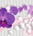 Dovido Tapéta orchidea abzstrakt háttéren - 245x270