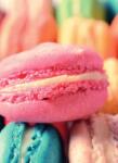 Dovido Öntapadó fotótapéta színes macaron sütemény - 196x270