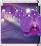 Dovido Tapéta orchidea görög oszlopoknál - 245x270