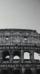 Dovido Fotótapéta Colosseum fekete-fehérben - 147x270