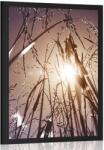 Dovido Poszter mezei fű - 20x30 black