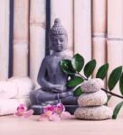 Dovido Fotótapéta wellnessz Buddha - 245x270