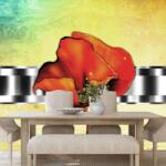 Dovido Tapéta pipacs absztrakció - 539x363