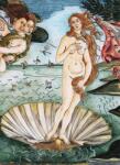 Dovido Öntapadó tapéta a Vénusz születésének reprodukciója- Sandro Botticelli - 196x270