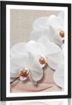 Dovido Poszter paszportuval fehér orchidea vásznon - 60x90 no frame