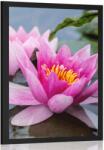 Dovido Poszter rózsaszínű lótusz virág - 20x30 black