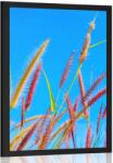 Dovido Poszter fű szállak a kék ég alatt - 40x60 black