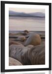 Dovido Poszter paszportuval folyóparton - 40x60 white