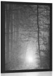 Dovido Poszter fény az erdőben fekete fehérben - 30x45 silver
