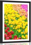 Dovido Poszter paszpartuval - Tulipánokkal teli kert - 40x60 no frame
