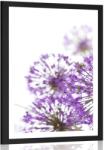 Dovido Poszter paszportuval virágzó foghagyma virág - 20x30 black