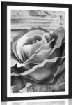 Dovido Poszter paszportuval elegáns vintage rózsa fekete fehérben - 20x30 silver