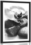 Dovido Poszter paszportuval kövek és orchideák varázslatos összjátéka fekete-fehérben - 40x60 white
