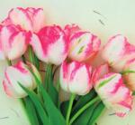 Dovido Öntapadó fotótapéta tavaszi tulipánok - 294x270