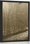 Dovido Poszter erdei út szépia kivitelben - 30x45 no frame