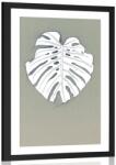 Dovido Poszter paszportuval fehér monsztera levél - 40x60 silver