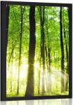 Dovido Poszter zöld erdő - 30x45 black - dovido - 9 535 Ft