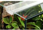 DIVERSA TERRASET 30 FOREST terrárium - 30 x 25 x 35 cm (PF-DI119733)