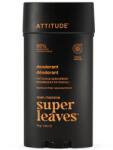 ATTITUDE leaves férfi dezodor pacsuli és bourbon 75 g (ATT07431)