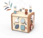 Speedy Monkey Cub educativ 5-in-1, Speedy Monkey (SM_SP1020)