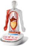 TopBright ScienceCan Joc STEM Anatomia umana, TopBright (TB_160022)
