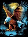 NORIMPEX - Puzzle Tablou Diamant: Vultur la lună plină 30x40cm - 1 - 39 piese