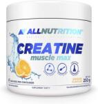 ALLNUTRITION Creatine Muscle Max, Orange - 250 grams