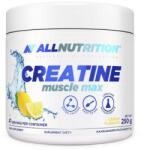 ALLNUTRITION Creatine Muscle Max, Lemon - 250 grams