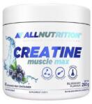 ALLNUTRITION Creatine Muscle Max, Blueberry - 250 grams