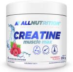 ALLNUTRITION Creatine Muscle Max, Raspberry - 250 grams