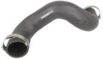 THERMOTEC Palnie, filtru de aer THERMOTEC DCI018TT (DCI018TT)