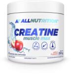 ALLNUTRITION Creatine Muscle Max, Apple - 250 grams