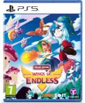 JanduSoft Wings of Endless [Deluxe Edition] (PS5)