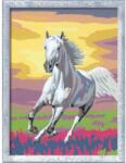 Ravensburger Pictura pe numere cal la apus - RVSPBN23663 (RVSPBN23663)