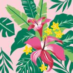 Ravensburger Pictura pe numere plante tropicale - RVSPBN23728 (RVSPBN23728)