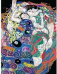 Ravensburger Pictura pe numere Klimt fecioara - RVSPBN23649 (RVSPBN23649)