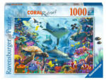 Ravensburger Puzzle 1000 buc - Recif de corali (12001172) Puzzle