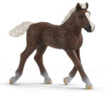 Schleich Mânz Schleich Schwarzwaldi (SLH13899) Figurina